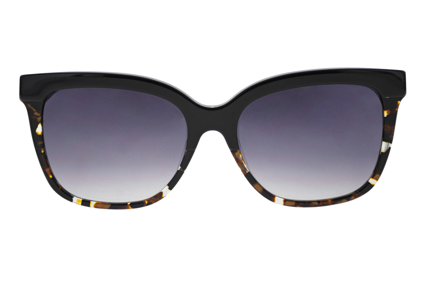Cleo - Black Monarch - Front
